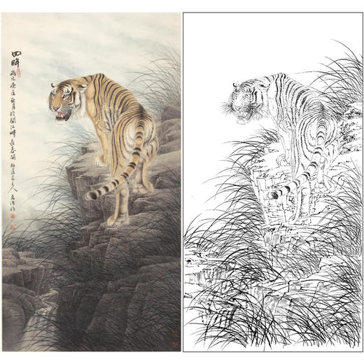 【大彩图】董希源工笔画白描底稿《回眸》老虎动临摹动物线稿A636 商品图0
