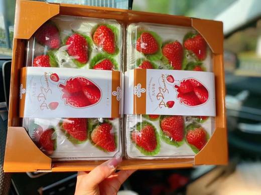 丹东空运冬恋之吻——红颜草莓❗️草莓是冬的气息除了霸道总裁的套路估计只有草莓能入侵少女的心。 商品图4