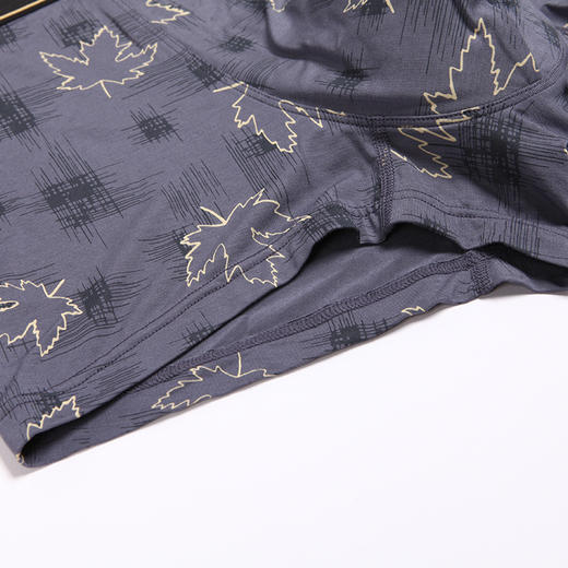 都市丽人都市锋尚日常休闲40S人棉舒适人棉平角男士内裤FK3CE1 商品图7