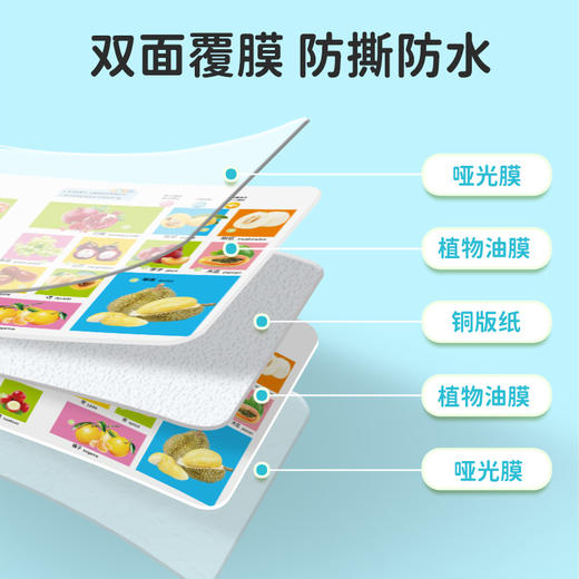 小儒童[一本抵多本] 的 双语早教会说话的有声书 商品图9