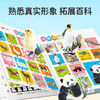 小儒童[一本抵多本] 的 双语早教会说话的有声书 商品缩略图8