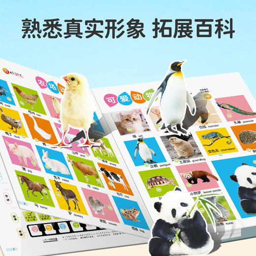 小儒童[一本抵多本] 的 双语早教会说话的有声书 商品图8