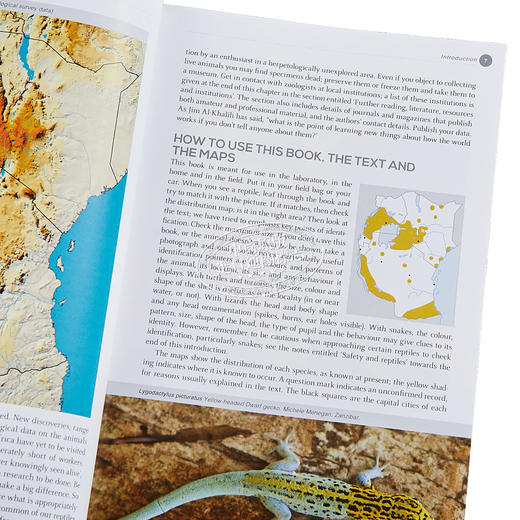 【中商原版】东非爬行动物的户外指南 Field Guide to East African Reptiles 英文原版 Steve Spawls 商品图2