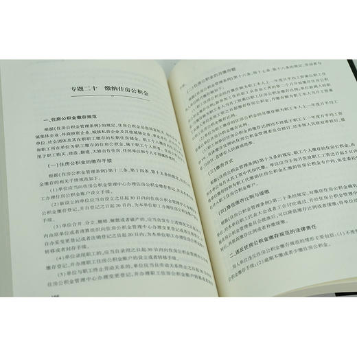 HR大律师：人力资源合规管理实战  杨京 郑建丰 卓家鹏 游本春主编 商品图4