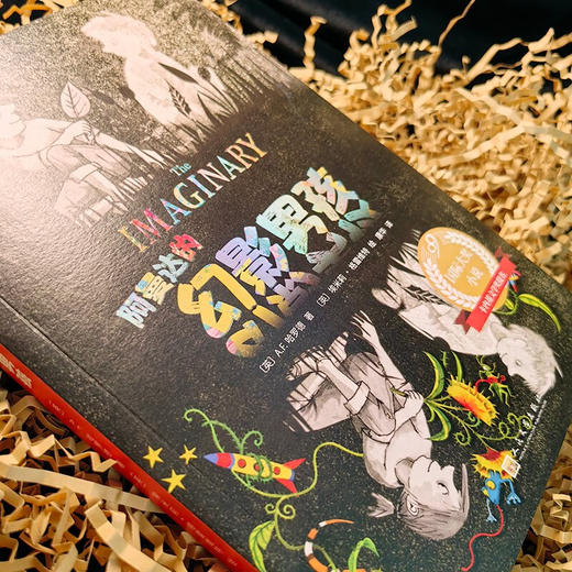 99国际大奖小说 阿曼达的幻影男孩 A.F.哈罗德 著 儿童文学 商品图3