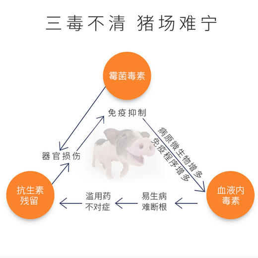 【三毒清】和仕康三毒清1公斤体内清毒清除霉菌毒素 商品图3
