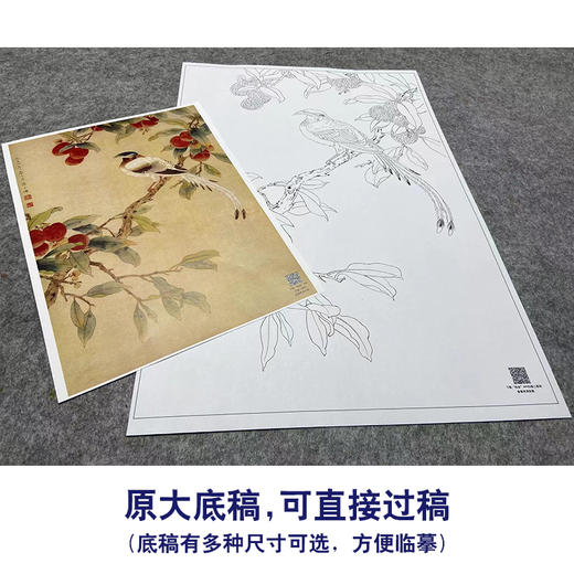 陈之佛工笔花鸟白描底稿《荔枝绶带》-斗方小品册页-多种白描尺寸可选-QA53 商品图1