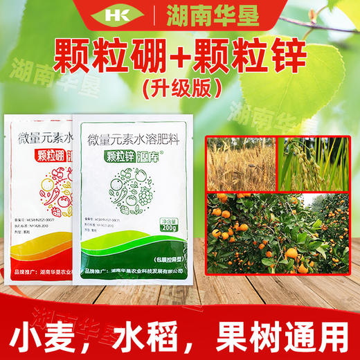 源库颗粒锌颗粒硼升级版套餐微量元素农用叶面肥促进授粉提高坐果 商品图4