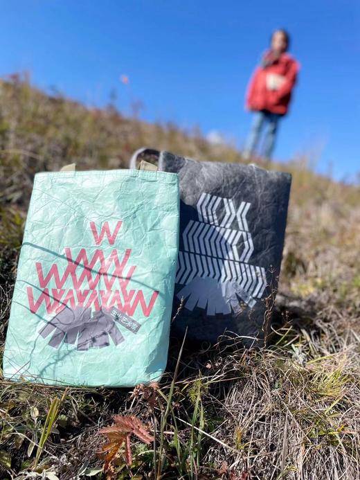 生火艺术家进口杜邦纸袋·尺寸 商品图4