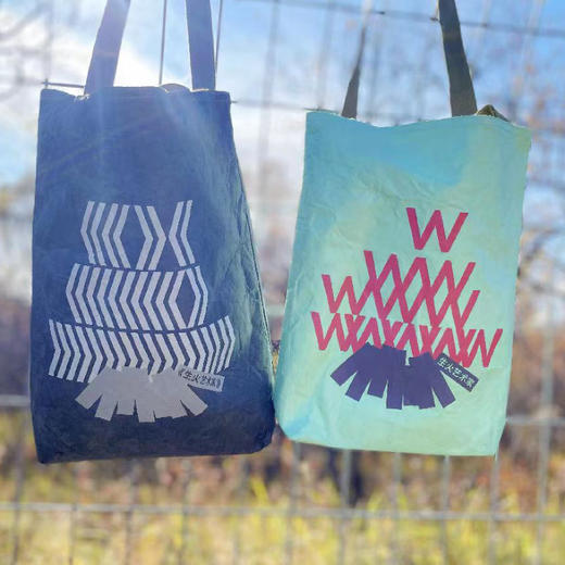 生火艺术家进口杜邦纸袋·尺寸 商品图3