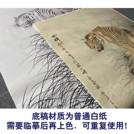【大彩图】董希源工笔画白描底稿《回眸》老虎动临摹动物线稿A636 商品图3