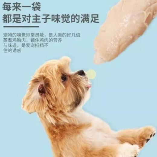 【精选零食】麦斯蒂水煮鸡胸肉40g猫咪狗狗零食两款随机发货 商品图1
