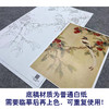 陈之佛工笔花鸟白描底稿《荔枝绶带》-斗方小品册页-多种白描尺寸可选-QA53 商品缩略图3