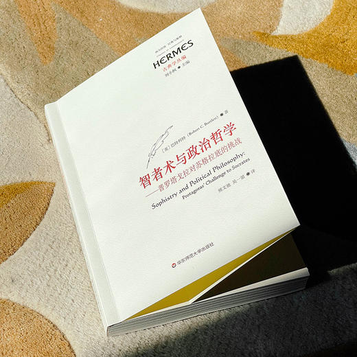 智者术与政治哲学 普罗塔戈拉对苏格拉底的挑战 刘小枫主编 商品图3