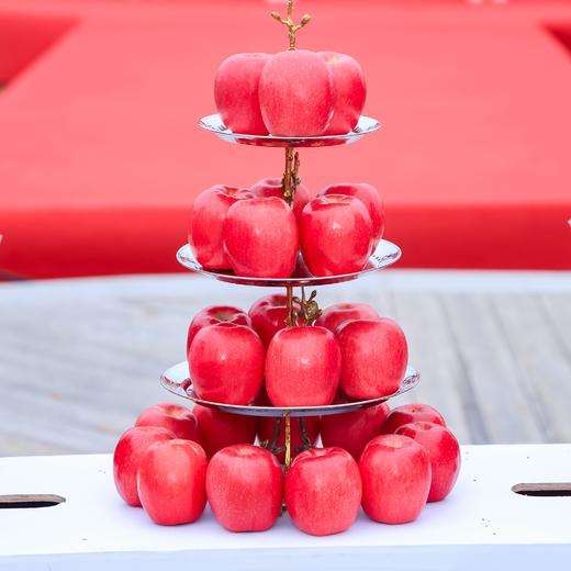 瑞香红苹果3斤装木美土里2025新产季脆甜好吃家庭装 商品图1