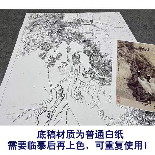 【大彩图】窦绅卿工笔画白描底稿《益景迎春晖》仙鹤临摹勾线花鸟线稿HN14 商品图3
