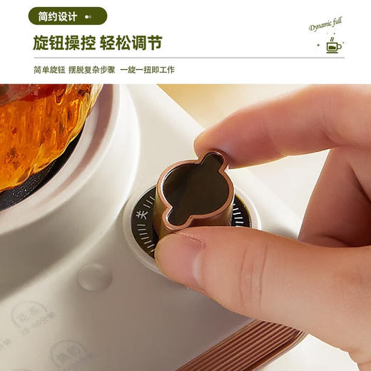 Abereve艾贝丽 养生杯（含茶漏）ABL-DD67 商品图5