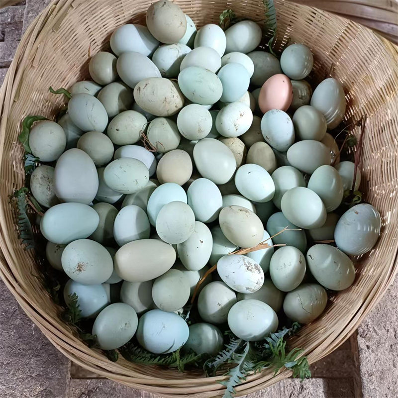 【贵州·鸡蛋】新鲜土鸡蛋破损包赔
