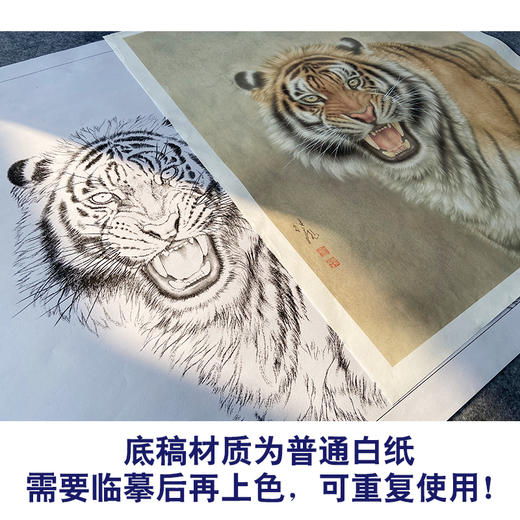 【大彩图】刘继彪工笔画白描底稿《老虎》初学者临摹动物线稿A631 商品图3