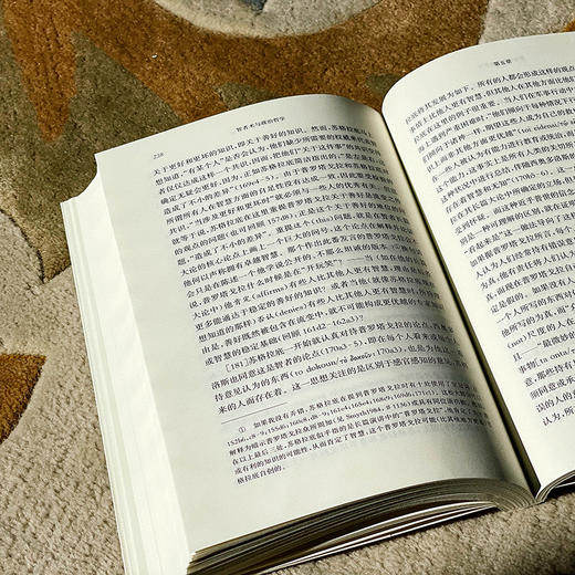 智者术与政治哲学 普罗塔戈拉对苏格拉底的挑战 刘小枫主编 商品图9