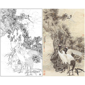 【大彩图】窦绅卿工笔画白描底稿《益景迎春晖》仙鹤临摹勾线花鸟线稿HN14