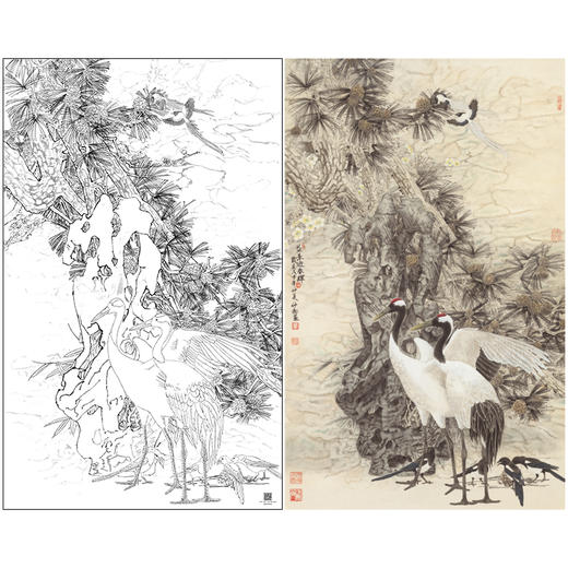 【大彩图】窦绅卿工笔画白描底稿《益景迎春晖》仙鹤临摹勾线花鸟线稿HN14 商品图0