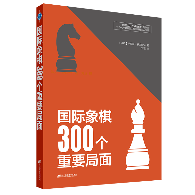 《国际象棋300个重要局面》