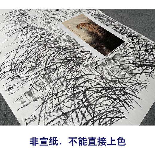 【大彩图】董希源工笔画白描底稿《回眸》老虎动临摹动物线稿A636 商品图2