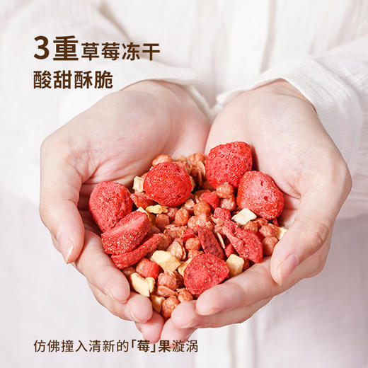 【水果麦片】RICH&LIGHT 烘焙麦片 好多莓莓 /海盐榛子可可/抹茶红豆无花果 300g 商品图3