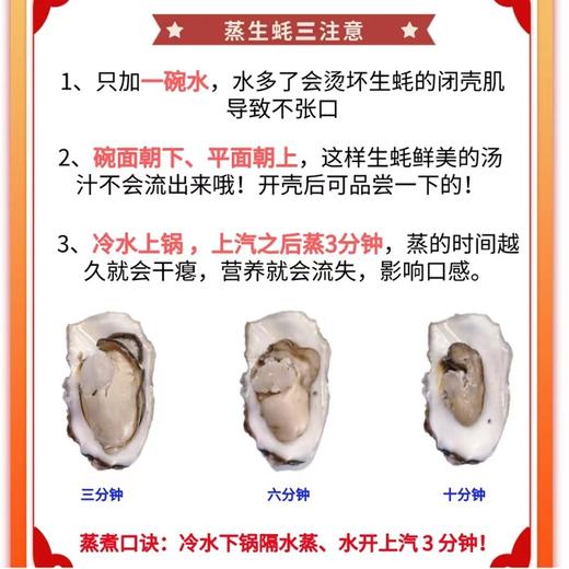 [最农公社]年货节|顺丰主推|山东乳山生蚝5斤大生蚝3-4两约20只左右新鲜捕捞 口感爽滑细腻 柔嫩十足 商品图7