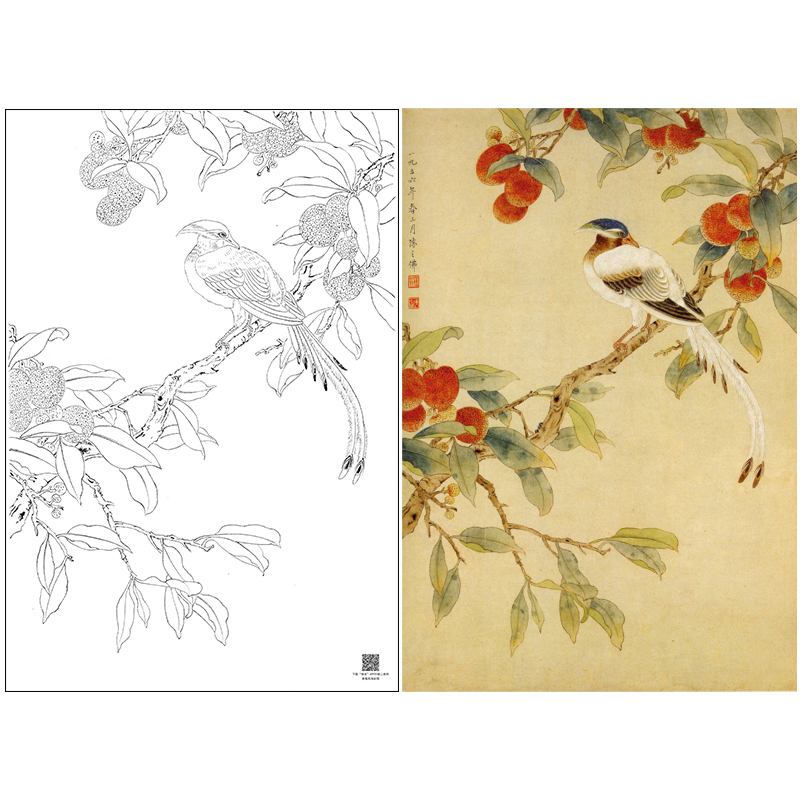 陈之佛工笔花鸟白描底稿《荔枝绶带》-斗方小品册页-多种白描尺寸可选-QA53