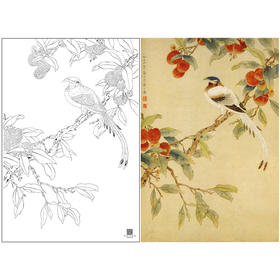 陈之佛工笔花鸟白描底稿《荔枝绶带》-斗方小品册页-多种白描尺寸可选-QA53