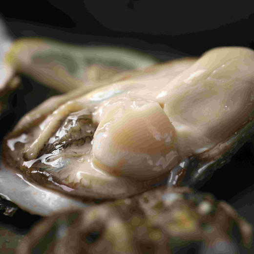 【乳山生蚝】中国地理标志产品 味鲜肥美 现捞现发 商品图3