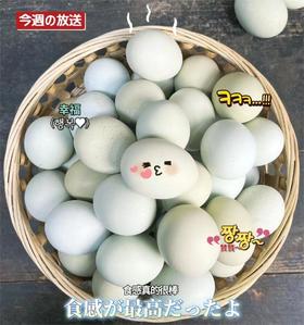 贵州虫草乌鸡蛋