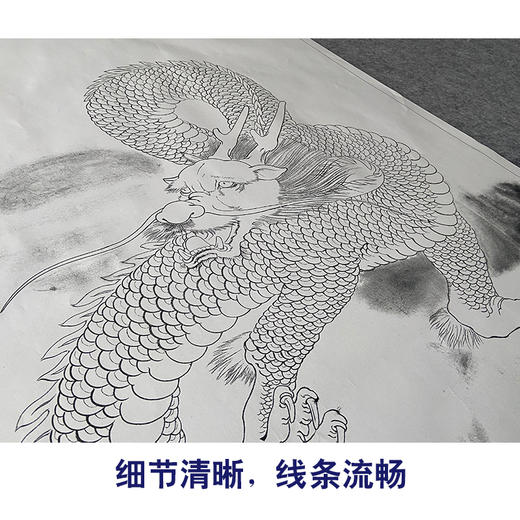 【大彩图】刘继彪工笔画白描底稿《龙》初学者临摹动物线稿A633 商品图4