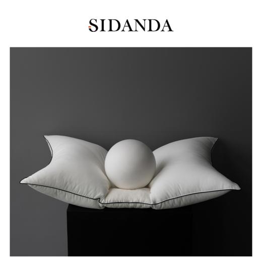 品牌直发 SIDANDA 女生专用护颈低睡枕 48cmx74cm 白色（含真丝枕套） 商品图1