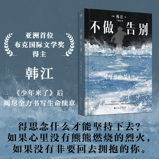 不做告别 诺贝尔文学奖得主韩江《少年来了》后，再次书写国家暴力 商品图1