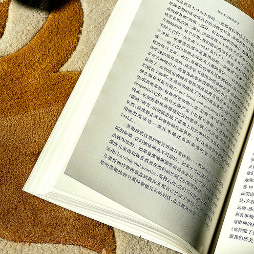 智者术与政治哲学 普罗塔戈拉对苏格拉底的挑战 刘小枫主编 商品图8