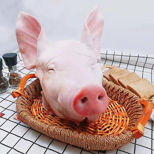 蒲城大红门猪头10公斤 商品图3