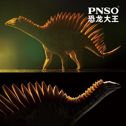 PNSO米拉加亚龙罗萨那恐龙大王成长陪伴模型39 商品图4