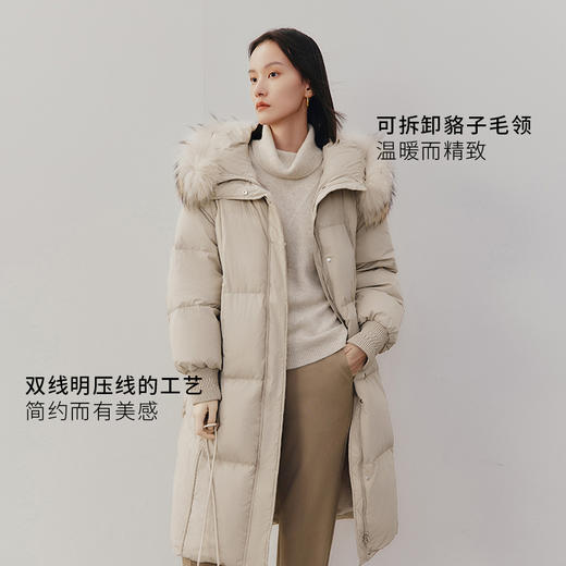 【商场同款】麦檬冬羽绒服5DA280531 商品图2