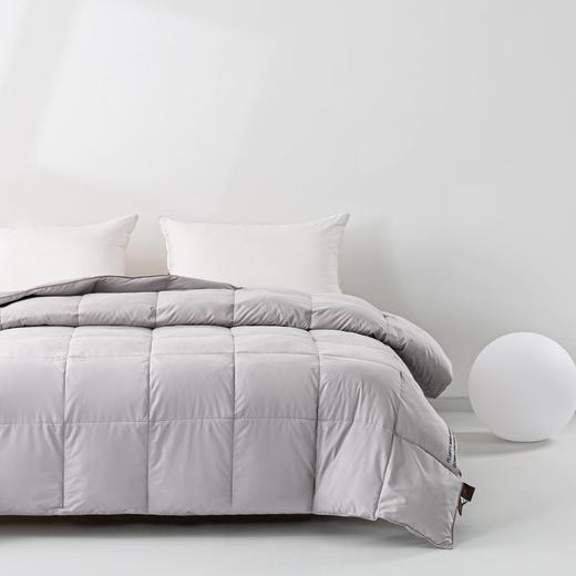 富丽岛家纺空气绒朵植物羽绒被 商品图2