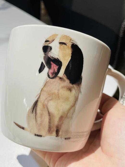 超低清仓❗️澳大利亚设计师品牌【MAXWELL WILLIAMS】马克杯系列🔥澳洲500＋零售店、全球40+个国家🈶售~老板移居漂亮国，库存全部清仓‼️​ ​两个以上送杯垫 四个送杯垫并且-10块 商品图4