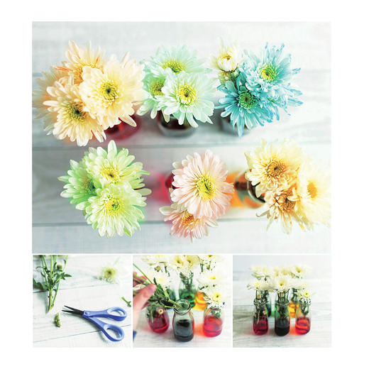 《100个超简单的儿童STEAM游戏》 商品图7