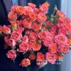 【AB级多头玫瑰】3支/份 品种随机 商品缩略图4