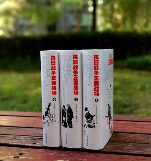 重点推荐！！《抗日战争正面战场》，精装，32开，全3册，中国第二历史档案馆编，凤凰出版社2023年10月一版二印，2835页，定价380元，售价198元。 商品图1