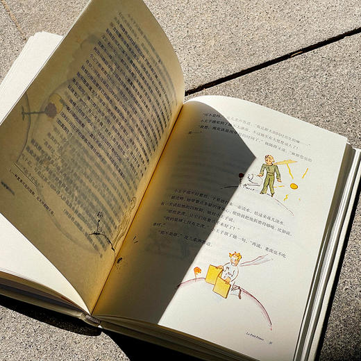 小王子 周克希译文选 世界名著 赠送精美藏书票 精装书籍 原版精美插图 商品图11