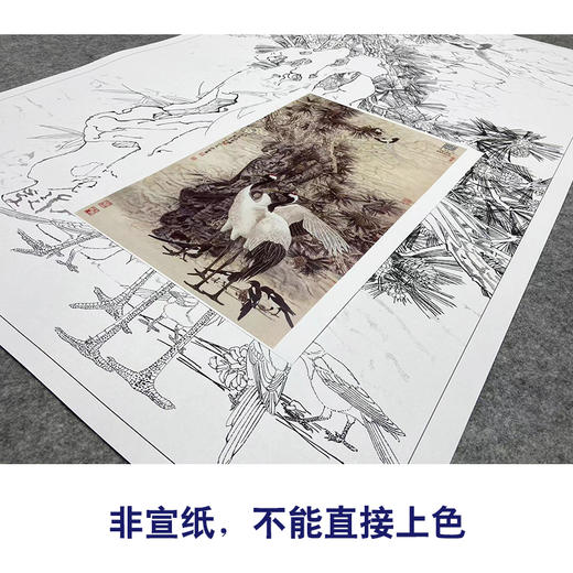 【大彩图】窦绅卿工笔画白描底稿《益景迎春晖》仙鹤临摹勾线花鸟线稿HN14 商品图2