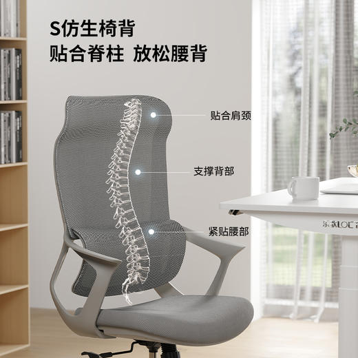 乐歌电脑椅人体工学椅居家办公学习椅Y11 商品图4
