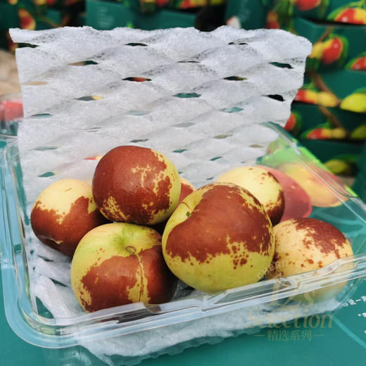 超脆甜！沾化短枝二代冬枣礼盒 中通快递 商品图12